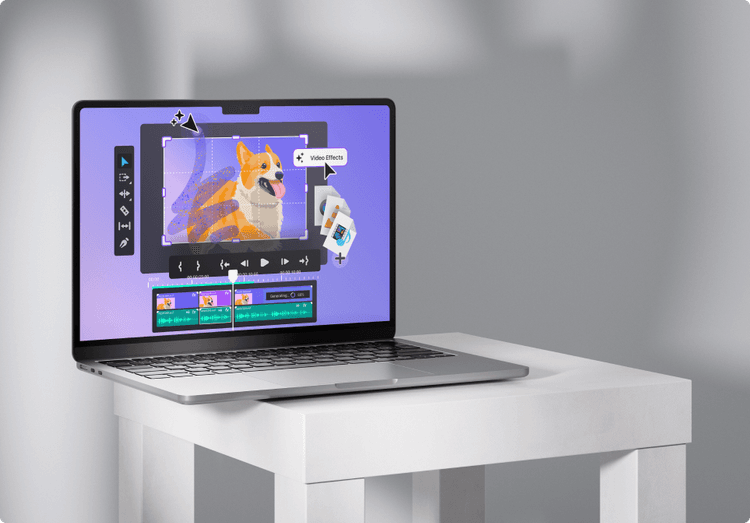 Animation & Visual Effects